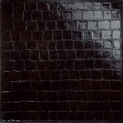 柔和面黑鳄鱼纹